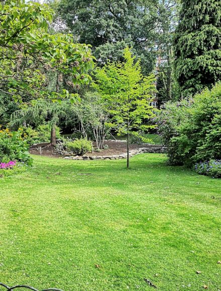 green grass field with trees